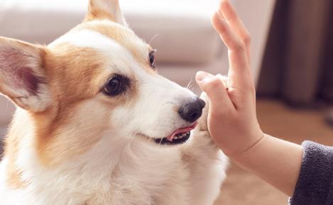 (출처 = 클립아트코리아)