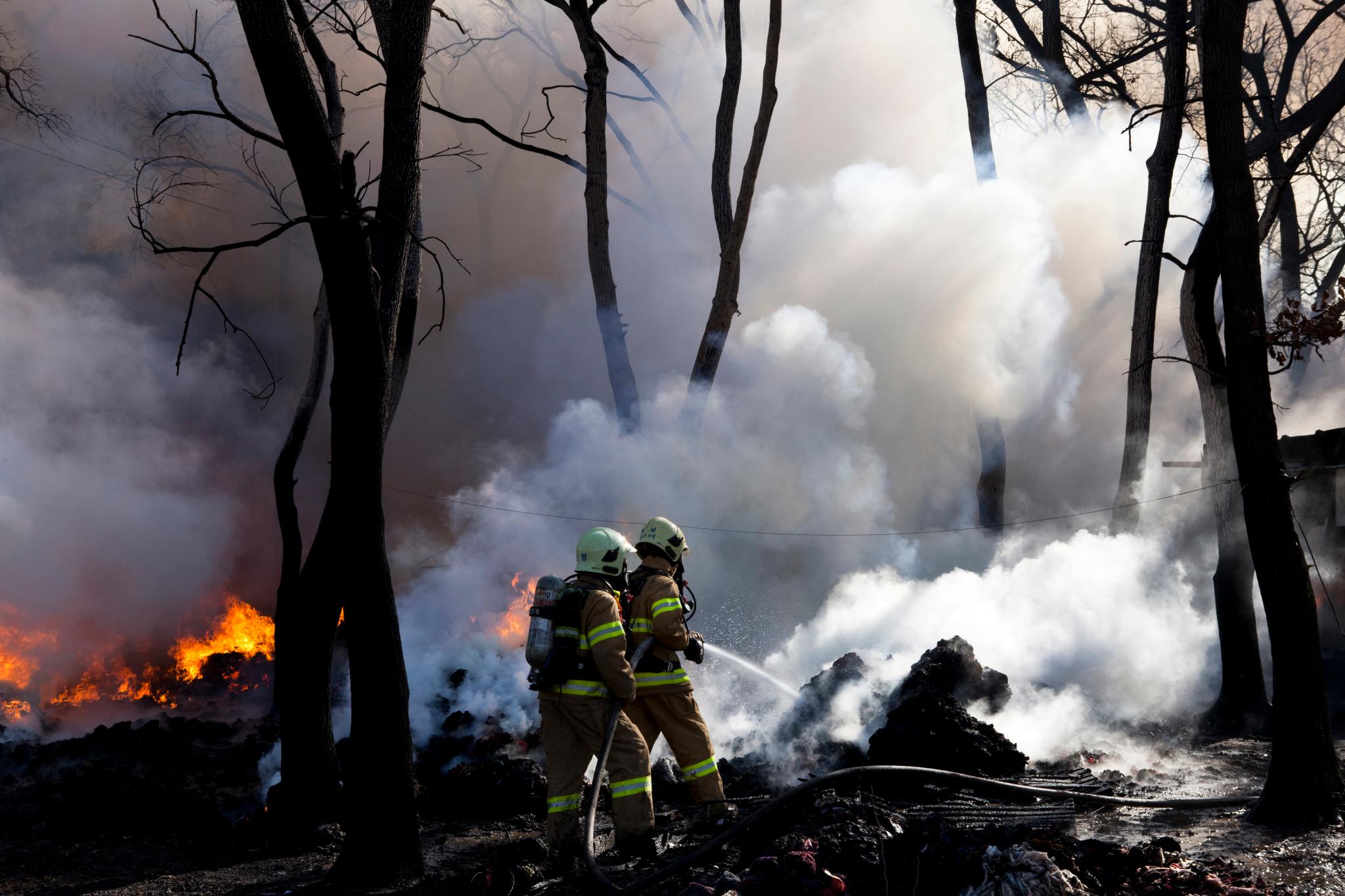 (출처=클립아트코리아)