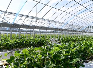 (사진 = 클립아트코리아)