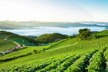 (사진 = 클립아트코리아)