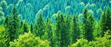 (출처 = 클립아트코리아)