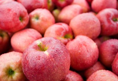 (출처 = 클립아트코리아)