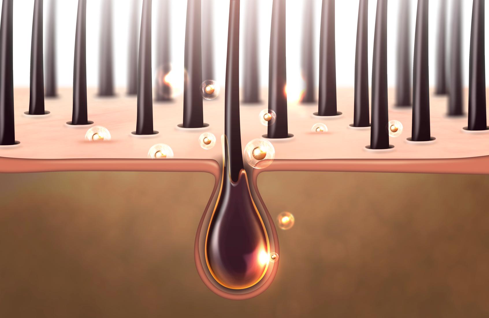 (출처=클립아트코리아)