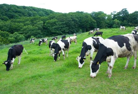 (출처 = 클립아트코리아)