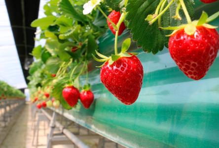 (출처 = 클립아트코리아)