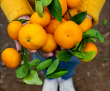 (출처=클립아트코리아)