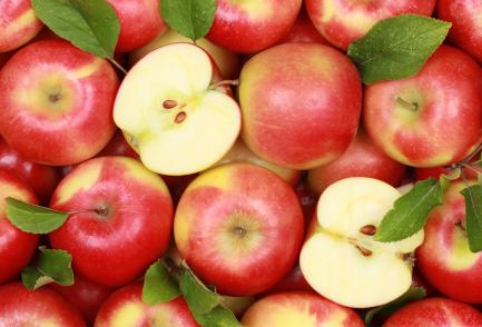 (출처 = 클립아트코리아)