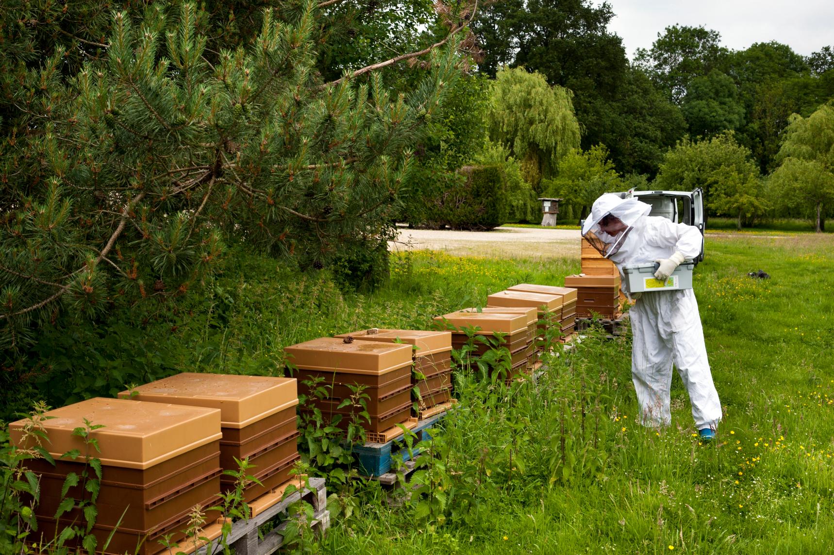 (출처 = 클립아트코리아)