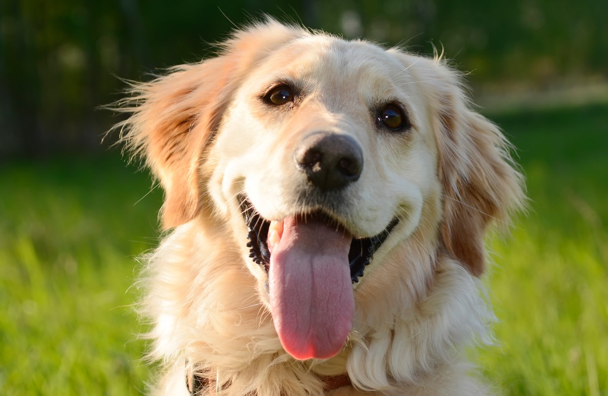 (출처 = 클립아트코리아)